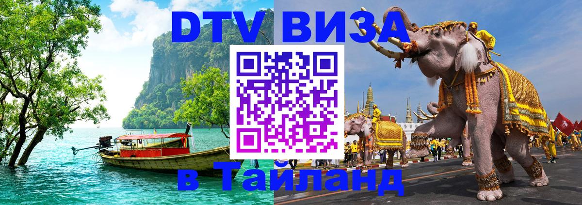Сколько стоит DTV виза — актуальные цены, оформление даже без документов - 20.11.2025 